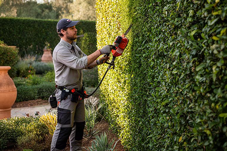 Operatore che pota una siepe alta in un giardino mediterraneo con strumenti professionali
